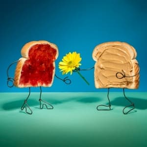 테리 보더