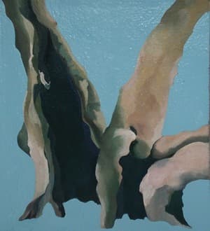 Mary Hrbacek
