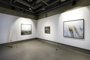 박지나