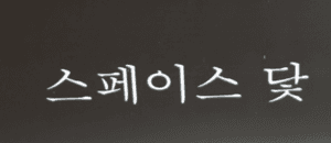 스페이스닻/부산