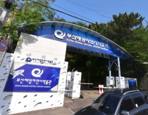 부산해양자연사박물관/부산