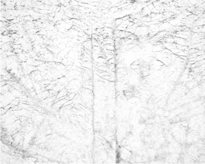 White 05