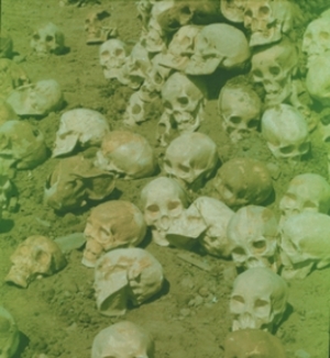 A-Group-of-Skeletons