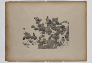 Untitled (study of Being)