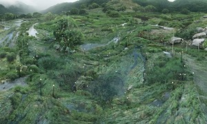 IT전문가의 물풀 네트워크