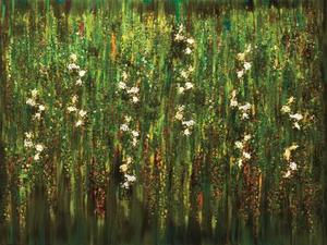 춤추는 버드나무 Dancing willows