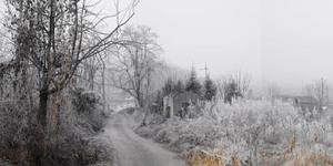 Mist and Frost 25