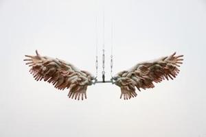 The Wings