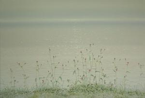Nature-Memory