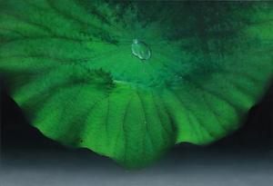Green Allergy-Made in Nature
