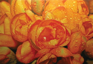 Fragrance