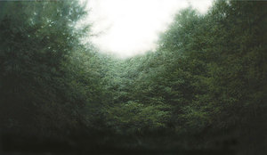 Condition-Light