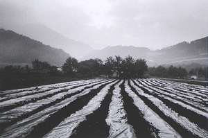 Kangwondo, Hong-Cheon I