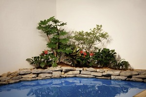 Blue Pond