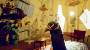 새[鳥] 여인
