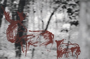 From an Island - 02006