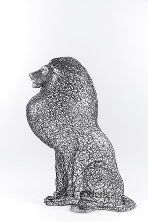 공존의 숲