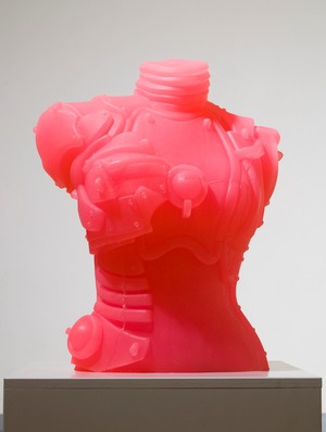 사이보그 Cyborg