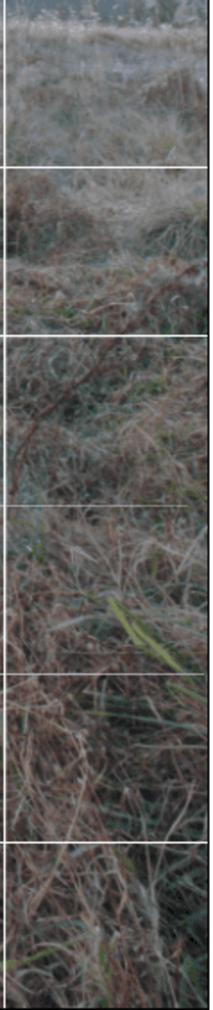 겹