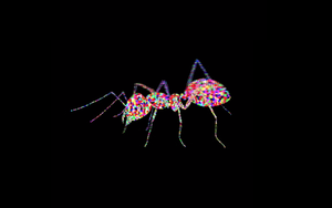 Pixel 001