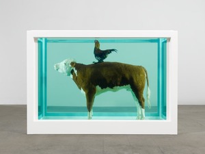 Cock and Bull