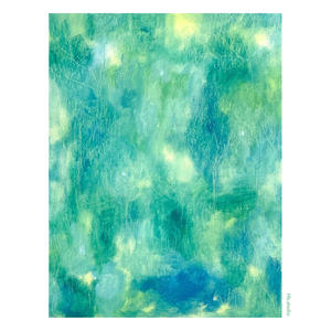 하늘, 식물, 자연광 [The sky, Plants, Natural light]