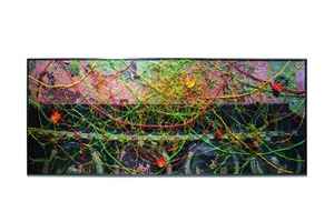 Plastic Landscape_DMZ