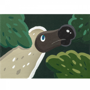 Dodo