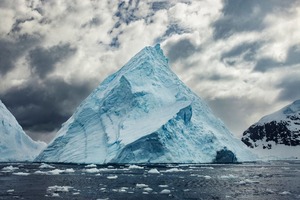 Cuverville Island