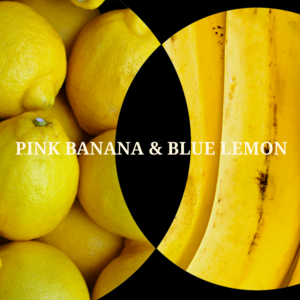 PINK BANANA & BLUE LEMON (여자답게 남자답게 더이상은 NO ) 5