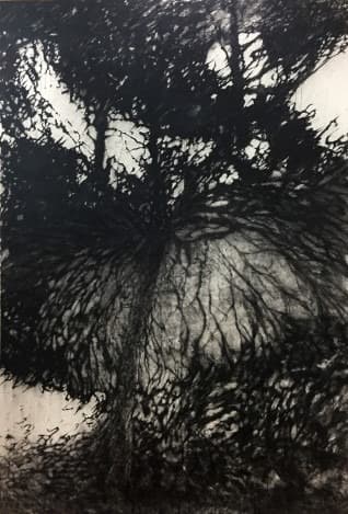 이성경