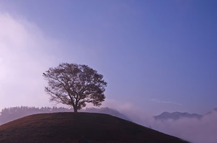 오윤경