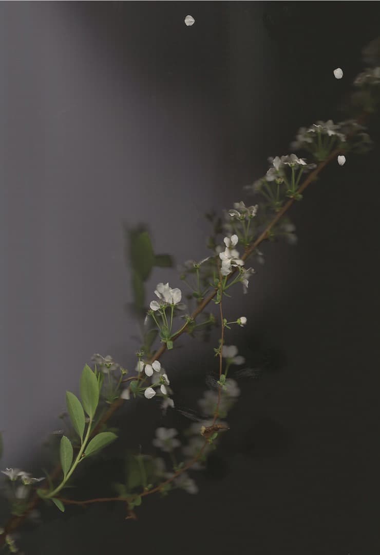 김미련