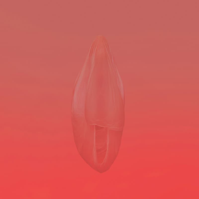 이우수