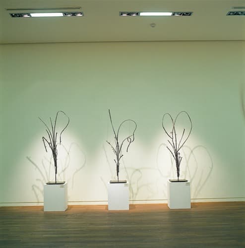 김황록