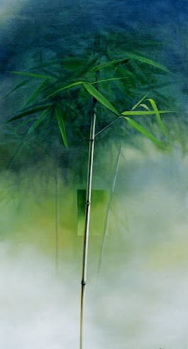 선종천