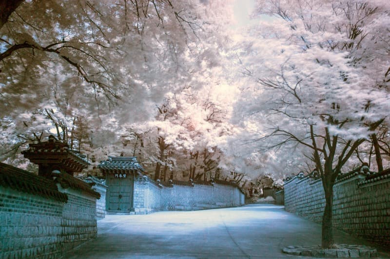 송광찬
