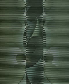 김태호