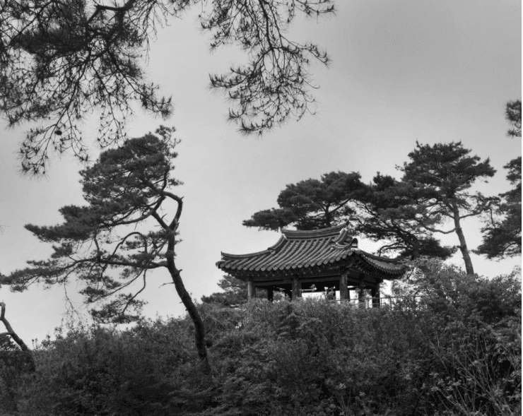 김심훈