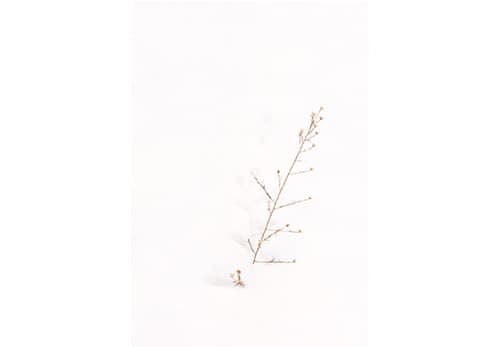 김민상