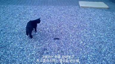 정혜주
