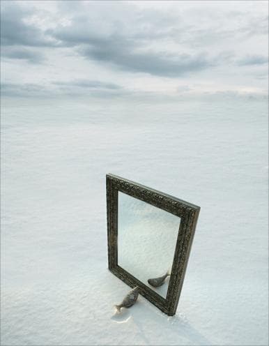 이인희