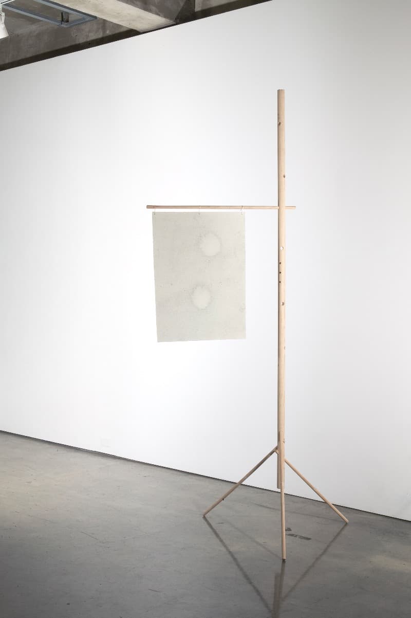 17년생 뉴송 · 종이 · 300(h)x90x100cm · 2017