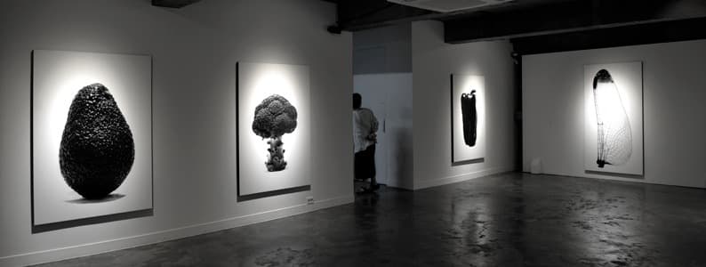 전시전경 · exhibition view