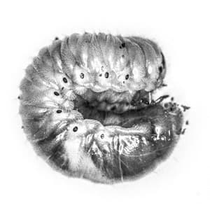 궁 · photography · 80x80cm · 2017