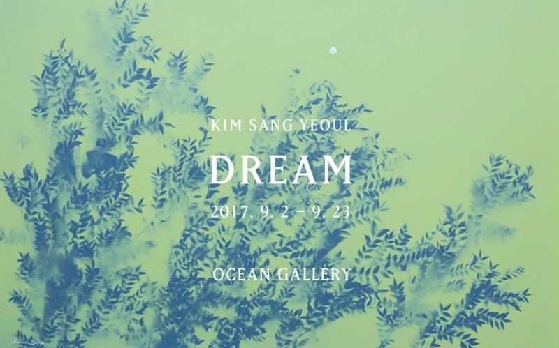 DREAM