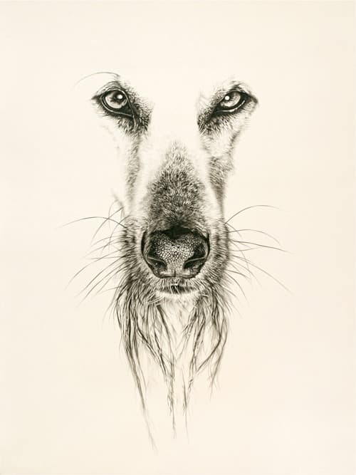 박효민 - Contemporaries冬 · 장지에 채색 · 175×130cm · 2014