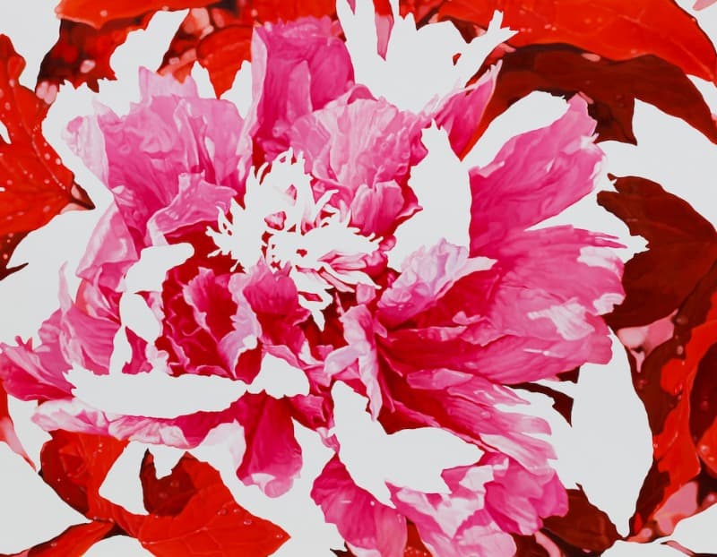 한수정 - peony · Oil on Canvas · 91x117cm · 2018