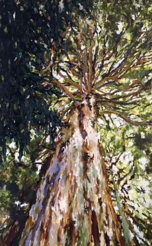 Wald ll · 린넨에 유채 · 160×100 cm · 2017