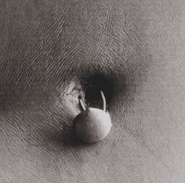 부재의 서사 A Narrative of Absence